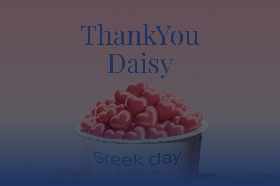 Thank you daisy(할인 쿠폰 20%+콩포트 *4개 증정)